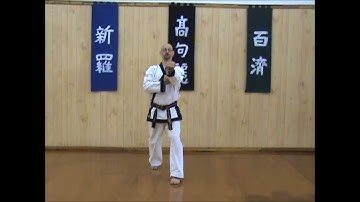 Tang Soo Do - Single Step Drill - Sequence 2