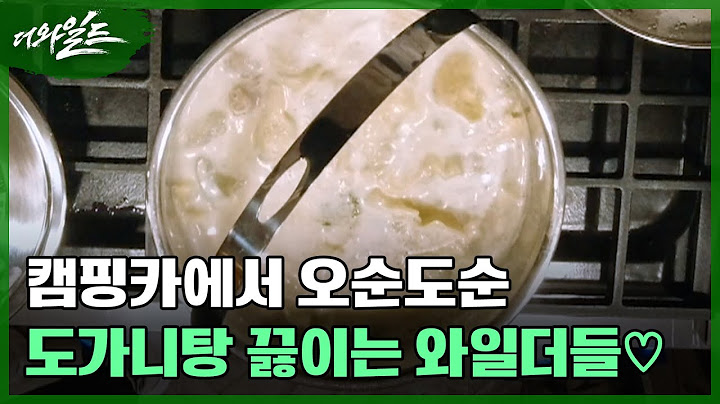 캠핑카에서 오순도순 도가니탕 끓이는 와일더들♡ 막내의 동거(?) 제안에 바로 콜(!) 한 성훈..ㅋㅋ MBN 240216 방송
