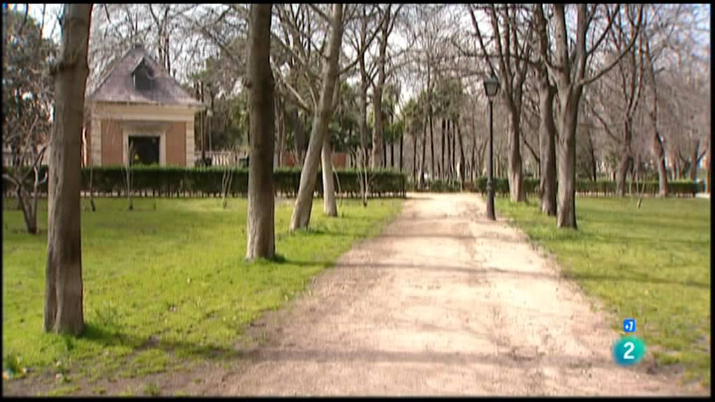 Documental sobre dislexia