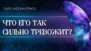 🦋🪽Неожиданные детали вскрылись🙏 ЧТО ЕГО ТАК СИЛЬНО ТРЕВОЖИТ⁉Таро 🦩