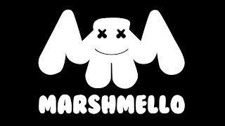 Концер  Marshmello #mellogang