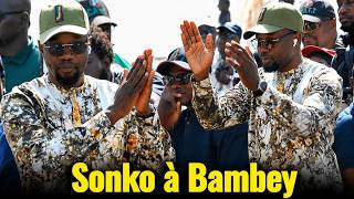 🛑Urgent / Direct : Ousmane Sonko lance la vente des cartes à Bambey