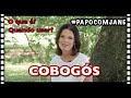 #PAPOCOMJANE   COBOGÓS