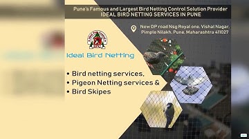 Ideal Bird Netting Services in Pune | Best Bird Netting services