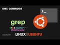 Harnessing the Power of Asterisk (*) with grep on Linux