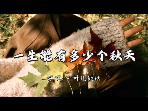 一叶儿知秋 - 一生能有多少个秋天『这一生能有多少个秋天，寒来暑往谁会留在我身边。』『动态歌词MV』