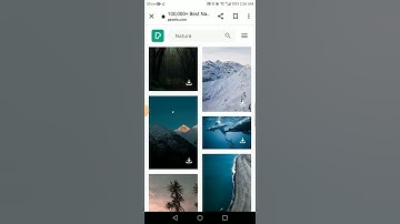 How to download free of cost videos and photos from Pexels. com