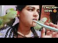My daily routine vlog with my parrots🐦❤️ #talkingparrots #rjanukriti #animallovers