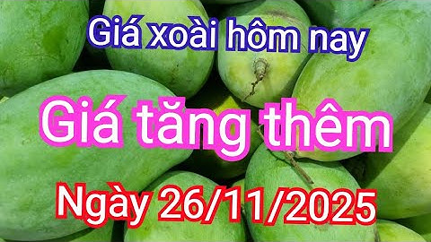 giá xoài hôm nay ngày 26/11/2025