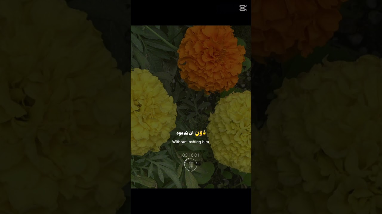 أجمل منظر في الحياة ان ترى ابنك ساجد يدعوا الله ،،،،/مقتطفات غراس