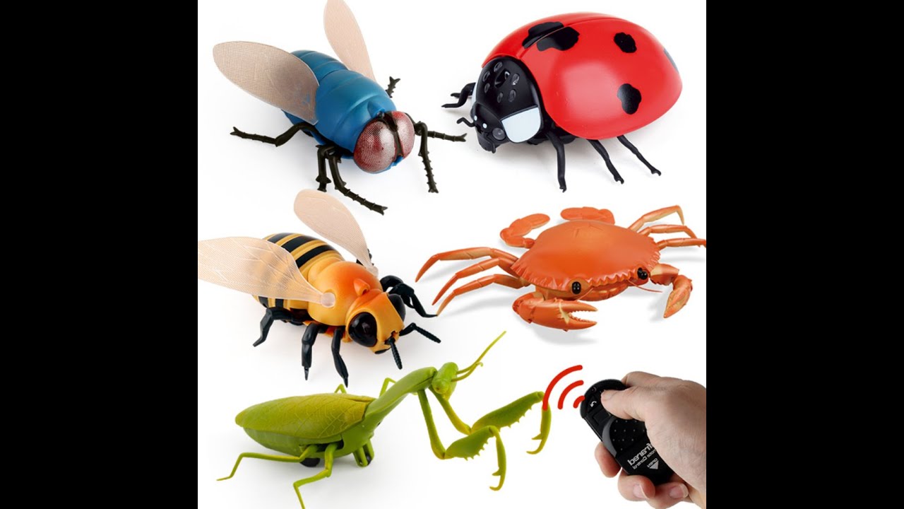 Remote Control Insects Toys - YouTube