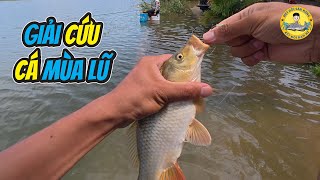 Fishing in Flood Season: Constant Jerks?