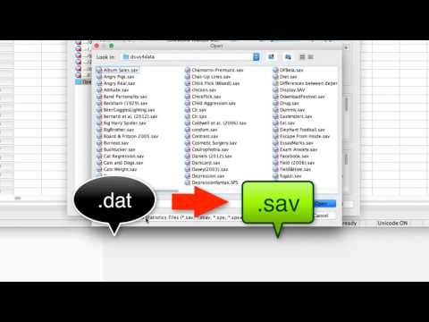 Converting a .dat file into a .sav file format for SPSS