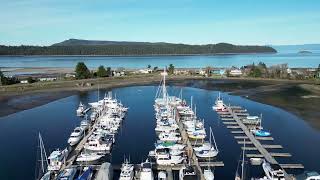 Deep Bay Herring Spawn