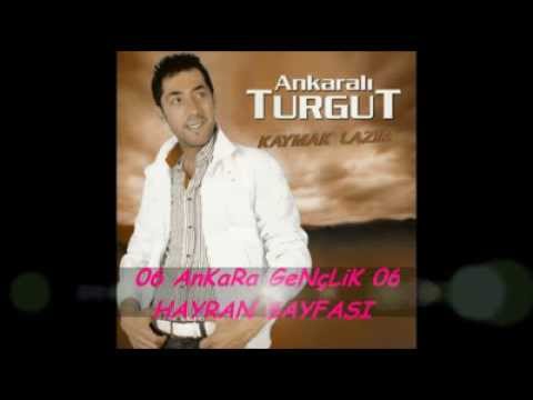 Ankaralı Turgut Niyazi