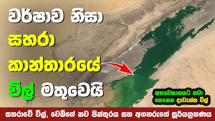 අධික වර්ෂාවත් සමග සහරා කාන්තාරයේ විල් නිර්මාණය වෙයි | Lakes in Sahara Desert