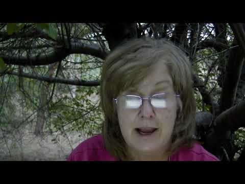 bethsaida,-home-of-simon-peter,-andrew,-&-philip-&-nathanael-&-jesus-healed-there!