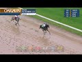 Oaklawn Park Dec 14, 2024 The Mistletoe Stakes