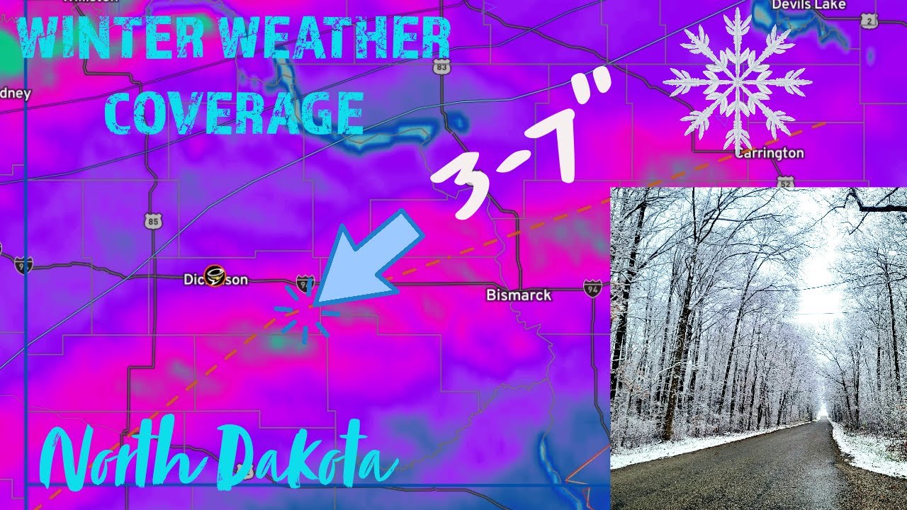 LIVE WINTER WEATHER - Mixed precipitation changing to snow - YouTube