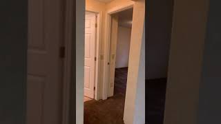 IMG 0035