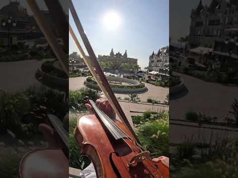 Summer Vivaldi