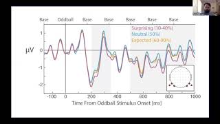 Talk: Visual mismatch responses are a product of surprise, but not fulfilled expectations