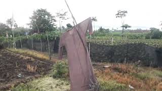 Download Lagu Top 11 Slow Rock Terbaik | Enak Didengar MP3