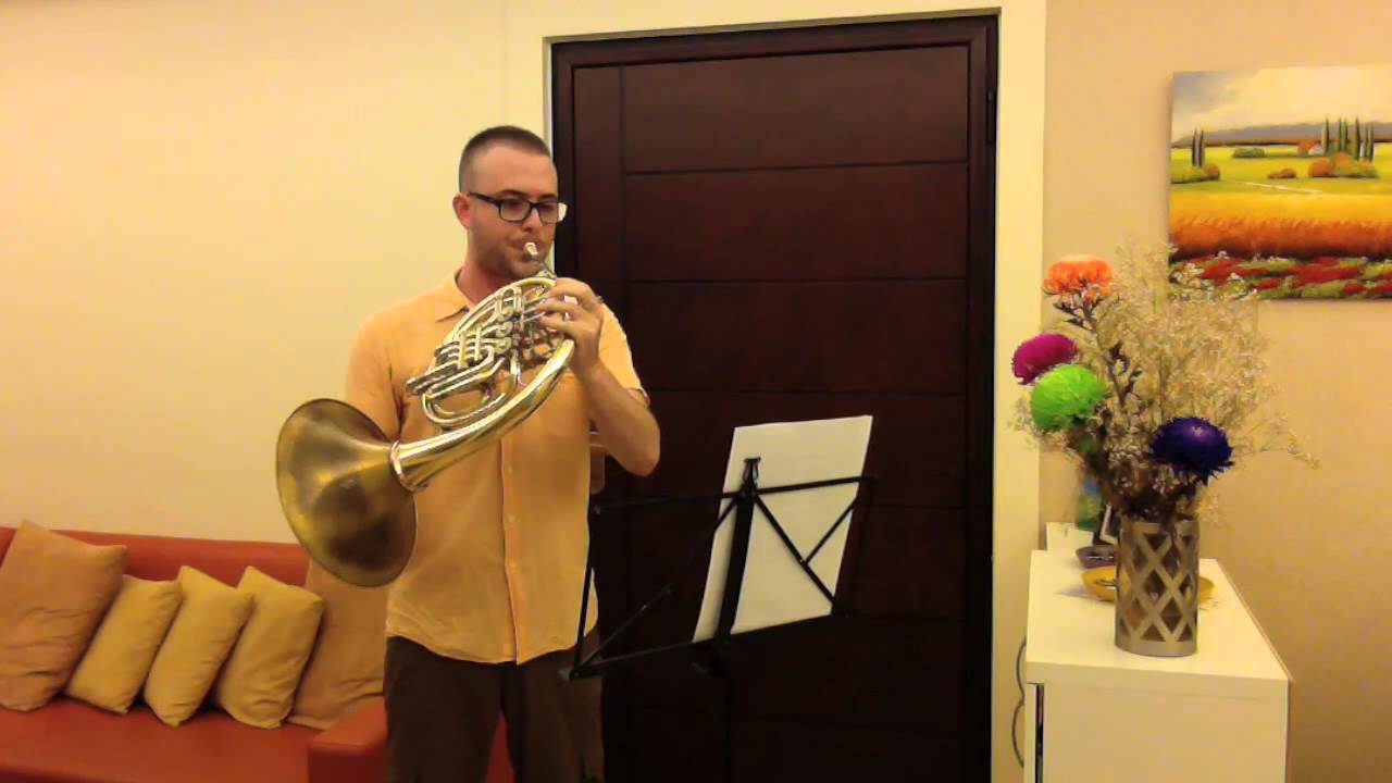 French Horn orchestra excerpts Bach. 法國號樂團片段/ホルンオーケストラの抜粋/Horn