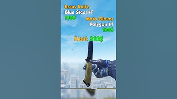 Which Knife-Glove-Combo is the BEST? #cs2 #csgo #cs2skins #counterstrike