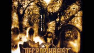 Necrophagist - Seven  HQ