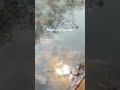 Soulful reflection