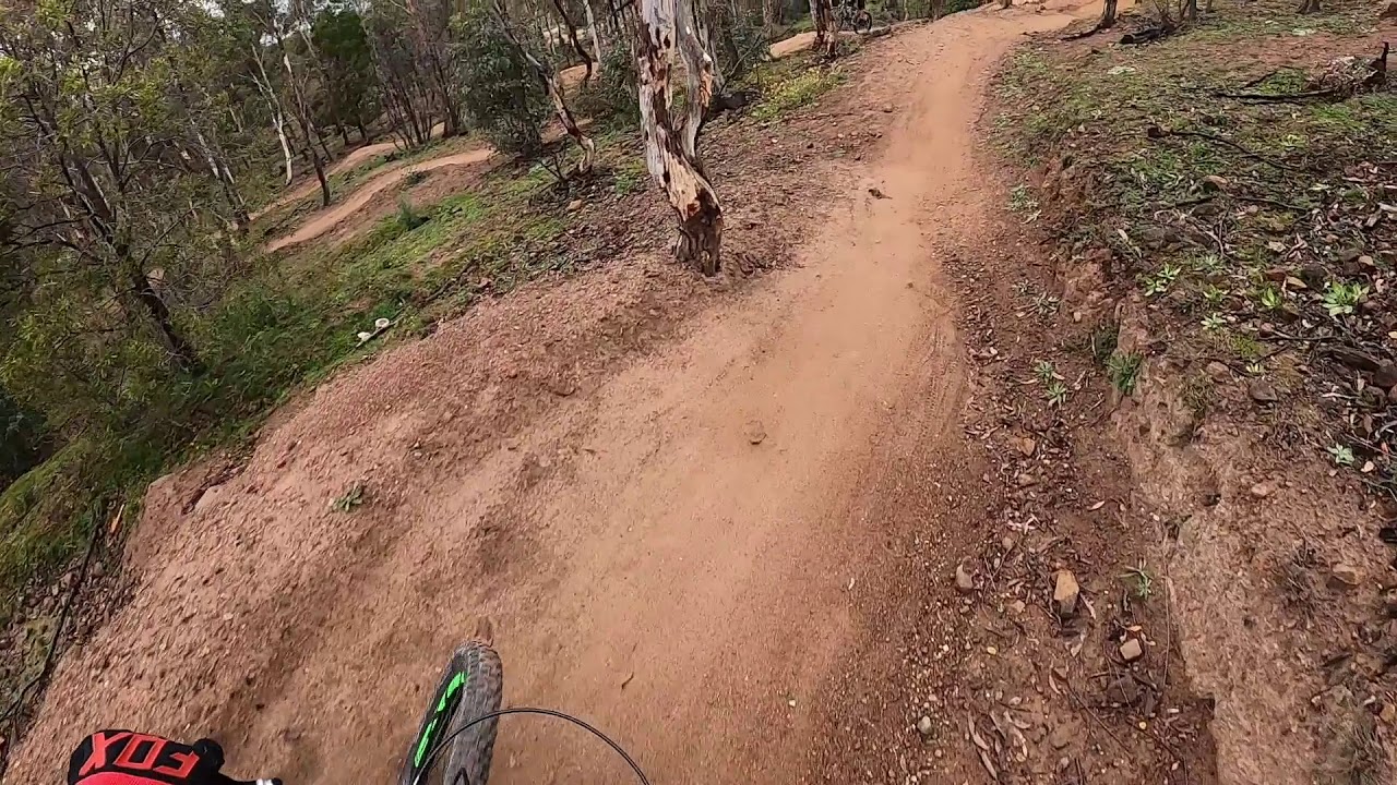 Stromlo Forest Park ACT | เนื้อหาทั้งหมดที่เกี่ยวข้องกับthe park kkuที่ถูกต้องที่สุด