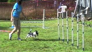 2011-07-16 NADAC Agility Scraps Chances