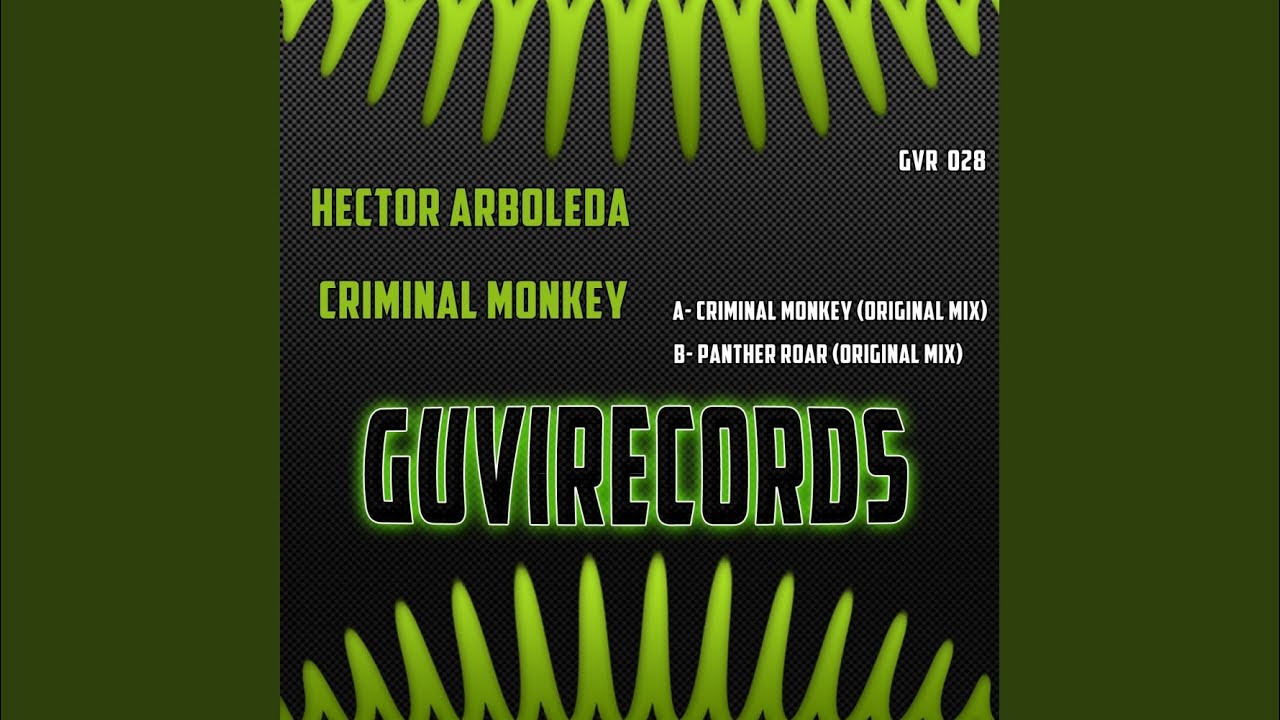 Watch Criminal Monkey (Original Mix) on YouTube Watch Criminal Monkey (Original Mix) on YouTube