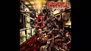 CADAVRUL - Hallucinating Voices Of Justice