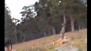 Erzurum Şenkaya Gülveren Yaylası Amana Gel Amana Gel Zalım Kızı Imana Gel