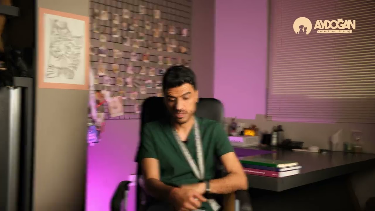 Kedilerde Herpes Virus Enfeksiyonu Nedir? | What is Herpes Virus Infection in Cats?