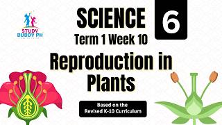 Science 6 Term 1 Week 10: Reproduction in Plants | Sexual and Asexual Reproduction