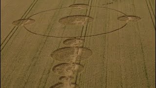 Inside the Crop circle at Wilton Windmill, Wiltshire, UK, June 30th 2024
