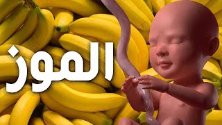 هل تعلم ما يحدث للجنين والام عند تناول الموز اثناء الحمل ؟