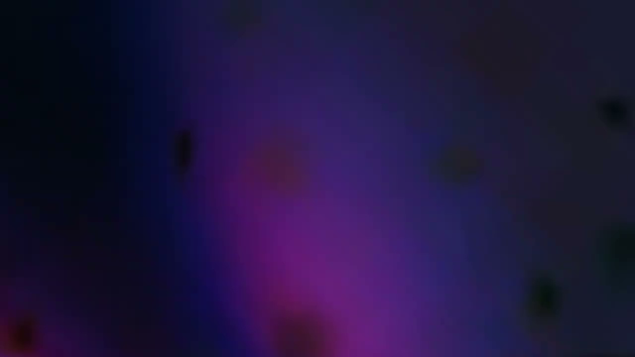 WEHR - Kontrollpunkt