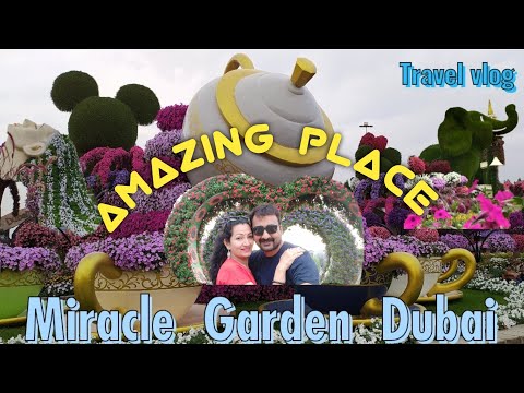 Miracle Garden Dubai 2022 | The World's  Largest Natural Flower Garden