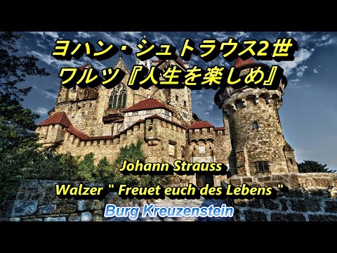 ヨハン・シュトラウス2世 ワルツ『人生を楽しめ』 Johann StraussⅡ