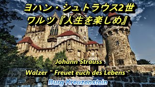 ヨハン・シュトラウス2世 ワルツ『人生を楽しめ』 Johann StraussⅡ