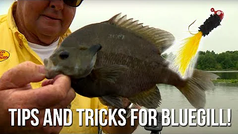 Tips and Tricks for Bluegill!