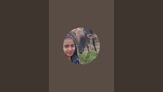 Up Ki Shakku Is Live