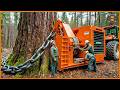 Extreme Dangerous Fastest Big Chainsaw Cutting Tree Machines | Biggest Heavy Machinery Machines #2