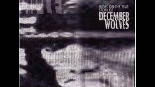 Watch December Wolves My Bible video