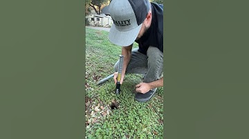 Setting GopherHawk — Montage #gopher #gopherhawk #gophers #easygophertrap #gopherhowto #howtogophers