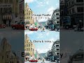 シカゴプードル 「Ebony &amp; Ivory」  #音楽  #シカゴプードル
